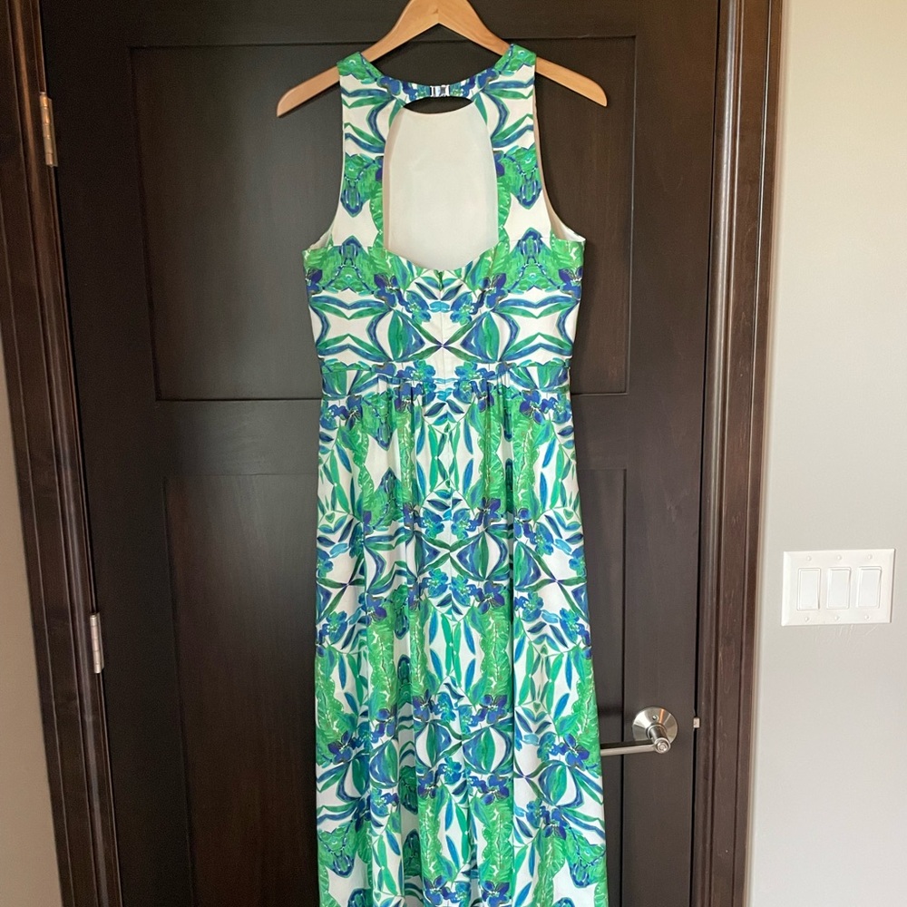 Cynthia Steffe Floral Maxi Dress Size 12 - Picture 7 of 10
